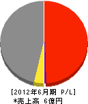 渡辺鉄工所 損益計算書 2012年6月期