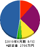 矢野庭園 貸借対照表 2010年6月期