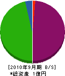 日本彫刻工芸 貸借対照表 2010年9月期