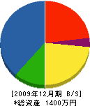 井上工務店 貸借対照表 2009年12月期