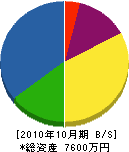 ユタカ電気 貸借対照表 2010年10月期
