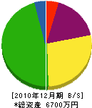 伊東組 貸借対照表 2010年12月期