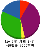 川島建設 貸借対照表 2010年1月期
