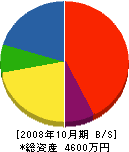 深澤工務店 貸借対照表 2008年10月期
