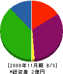 総建 貸借対照表 2008年11月期