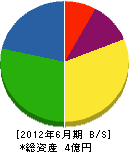 上郷木材 貸借対照表 2012年6月期
