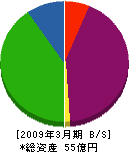 佐賀ガス 貸借対照表 2009年3月期