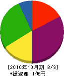 武藤建設 貸借対照表 2010年10月期