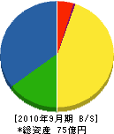 日本フイルター 貸借対照表 2010年9月期