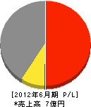 兼松チエン 損益計算書 2012年6月期