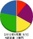 小田道路 貸借対照表 2012年9月期