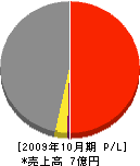 上野建設 損益計算書 2009年10月期