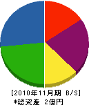 東亜工業 貸借対照表 2010年11月期