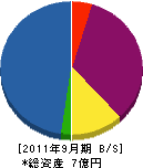 九州建装工業 貸借対照表 2011年9月期