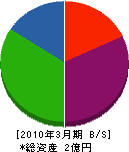 太田塗装店 貸借対照表 2010年3月期