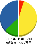 清沢造園 貸借対照表 2011年3月期