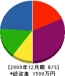 日野ポンプ商会 貸借対照表 2009年12月期