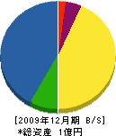 井村建設 貸借対照表 2009年12月期