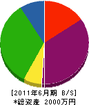 千葉鑿井管工事 貸借対照表 2011年6月期