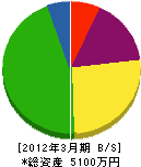 渡辺巧芸社 貸借対照表 2012年3月期