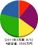 岩澤電機商会 貸借対照表 2011年3月期