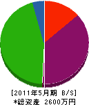 塚田建設 貸借対照表 2011年5月期