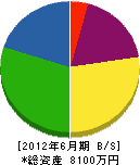 木須建設 貸借対照表 2012年6月期