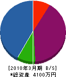 渡辺デンキ 貸借対照表 2010年3月期