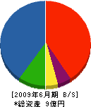 相澤組 貸借対照表 2009年6月期
