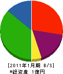山本電機 貸借対照表 2011年1月期