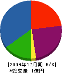 瀬村工務所 貸借対照表 2009年12月期
