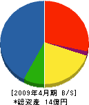 田崎鉄工 貸借対照表 2009年4月期