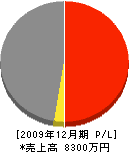 辻村建設 損益計算書 2009年12月期