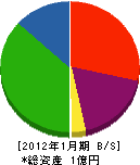 山本電機 貸借対照表 2012年1月期
