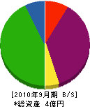 坂井組 貸借対照表 2010年9月期