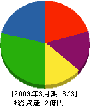 昭和電気工事 貸借対照表 2009年3月期