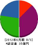 東京セメント工業 貸借対照表 2012年6月期