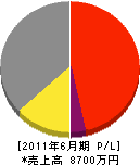 日本安全施設 損益計算書 2011年6月期