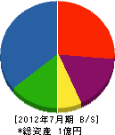 山愛緑化 貸借対照表 2012年7月期