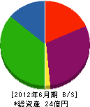安田組 貸借対照表 2012年6月期