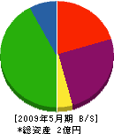 佐藤工業 貸借対照表 2009年5月期
