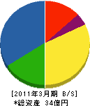新日本フエザーコア 貸借対照表 2011年3月期