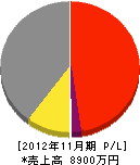 松田組 損益計算書 2012年11月期