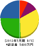 片岡興建 貸借対照表 2012年5月期