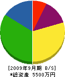 浜田植物園 貸借対照表 2009年9月期