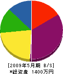 井川設備 貸借対照表 2009年5月期