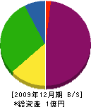 長谷川製作所 貸借対照表 2009年12月期