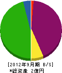 菅原建鉄工業 貸借対照表 2012年9月期