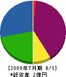 金澤産業 貸借対照表 2009年7月期