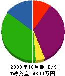 宮本塗装工業 貸借対照表 2008年10月期